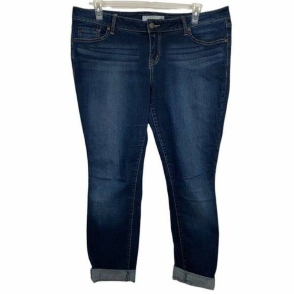 Torrid Plus Size Medium Wash Skinny Jeans